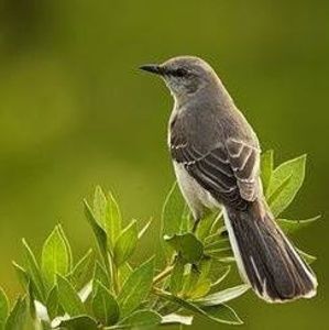 Meet your Posher, Kay